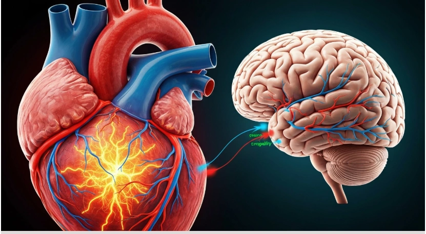 Hur hjärtrytmen påverkar din mentala skärpa – en massageterapeut förklarar